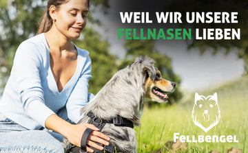 Fellbengel Hundegeschirr mit Griff