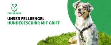 Fellbengel Hundegeschirr mit Griff