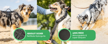 Fellbengel Hundegeschirr mit Griff