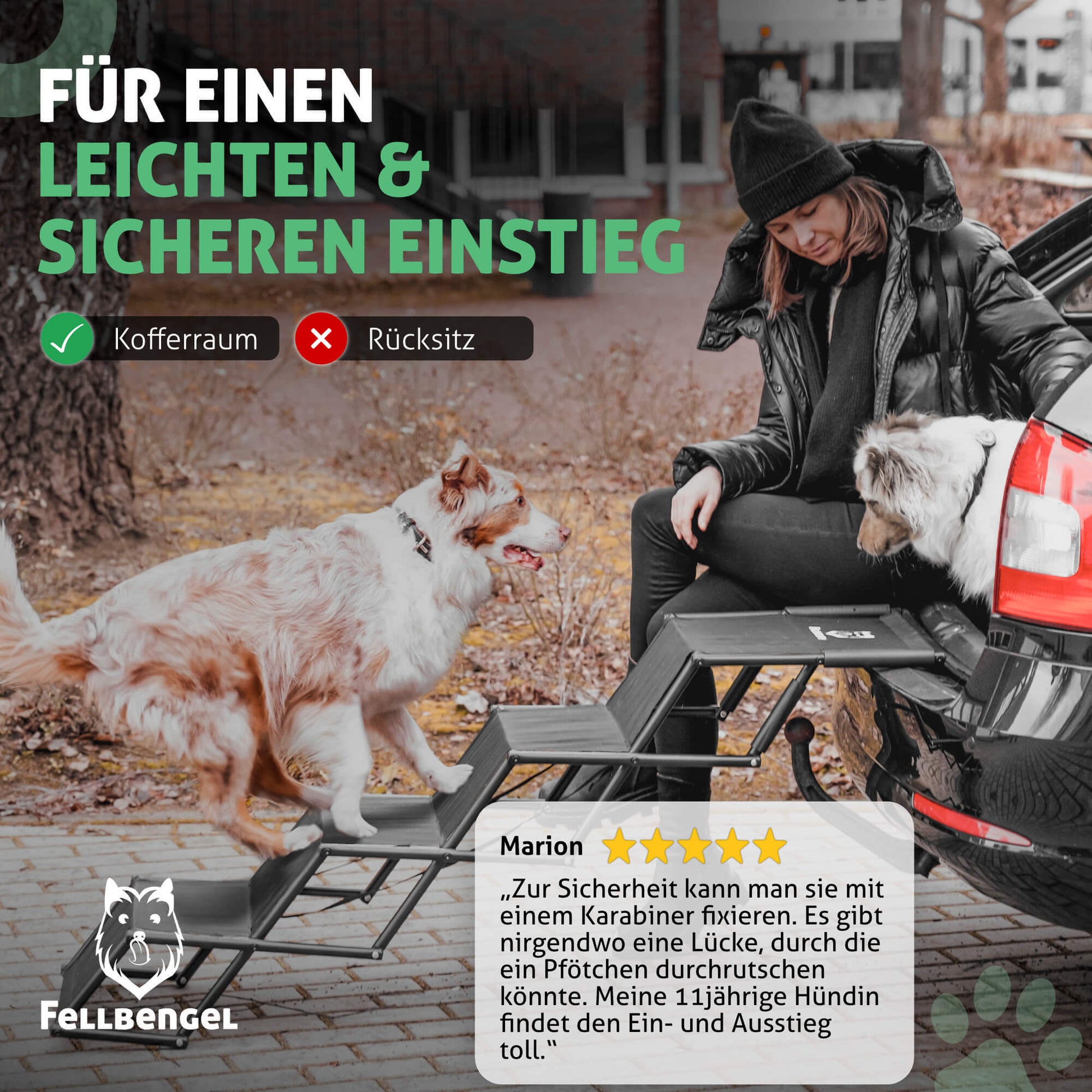 Fellbengel Hundetreppe Auto