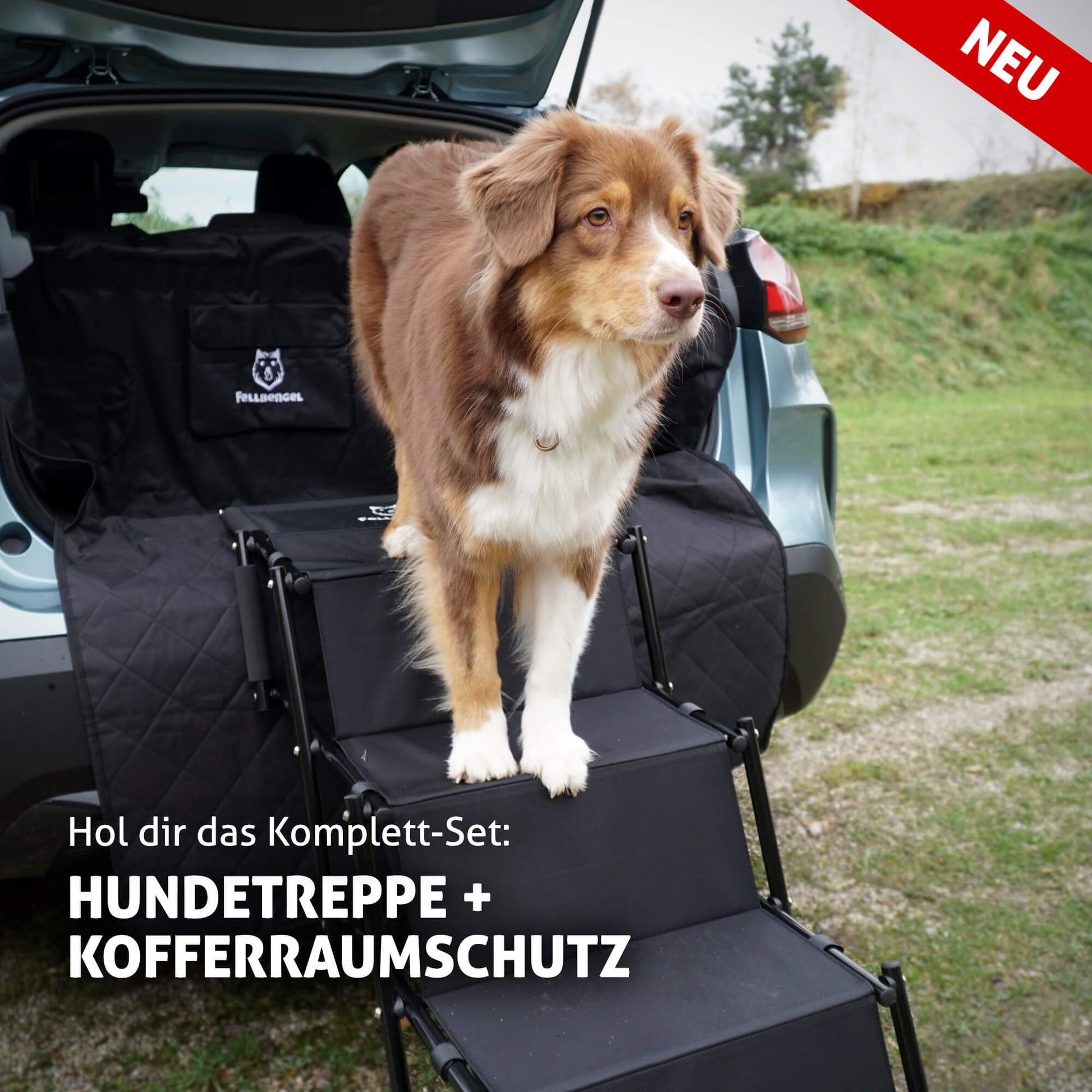 Fellbengel Hundetreppe Auto