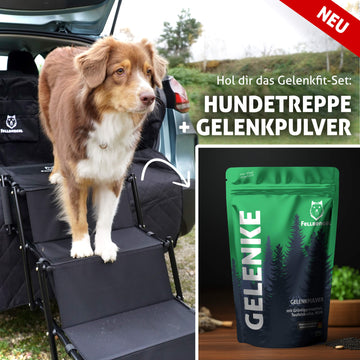 Fellbengel Gelenkpulver für Hunde