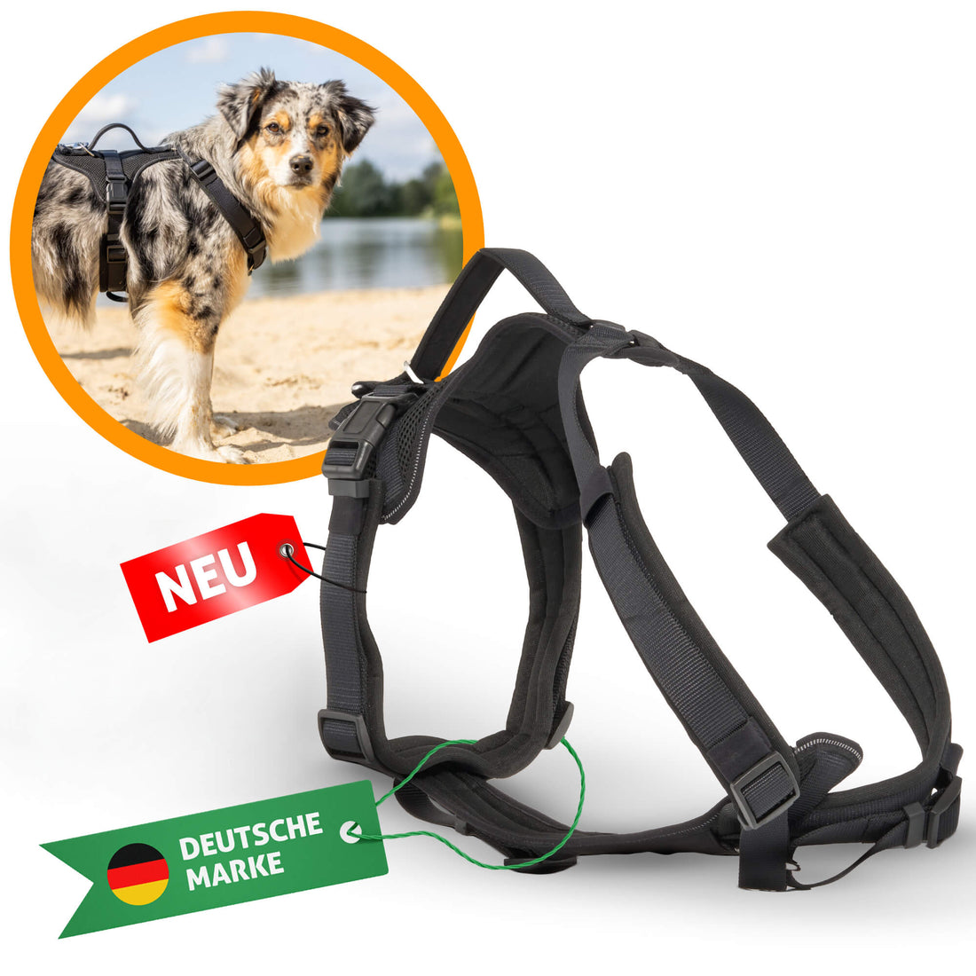 Fellbengel Hundegeschirr mit Griff - gepolstert mit Reflektoren1-2_2.jpg