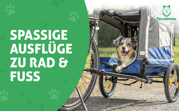 Fellbengel Fahrradanhänger Hund - 2 in 1 Hundefahrradanhänger Hundebuggy