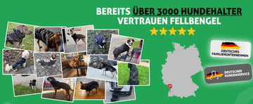 Fellbengel Fahrradanhänger Hund - 2 in 1 Hundefahrradanhänger Hundebuggy