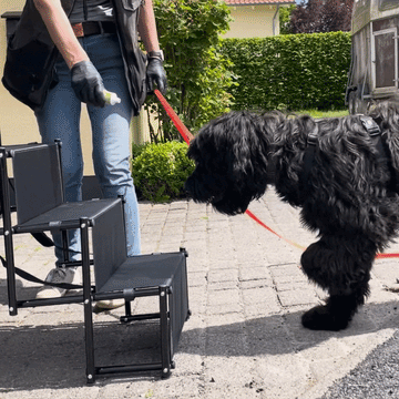 Fellbengel Hundetreppe Auto