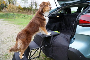 Kofferraumschutz Hund SUV