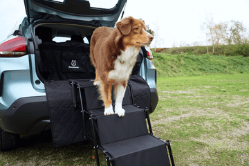 Kofferraumschutz Hund