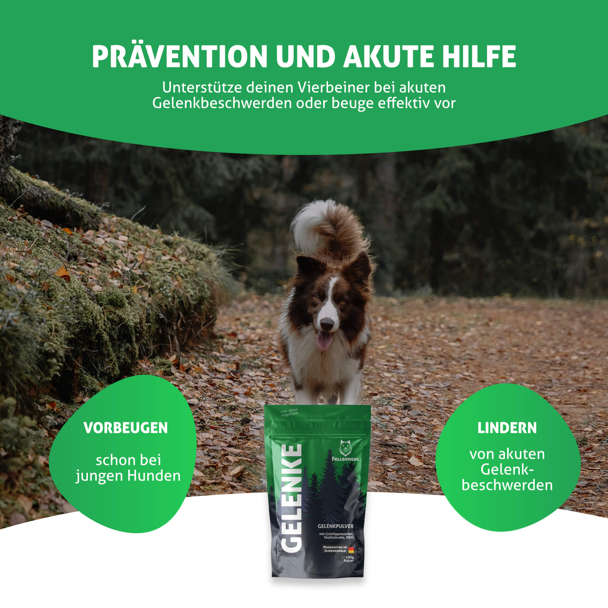 Fellbengel Gelenkpulver