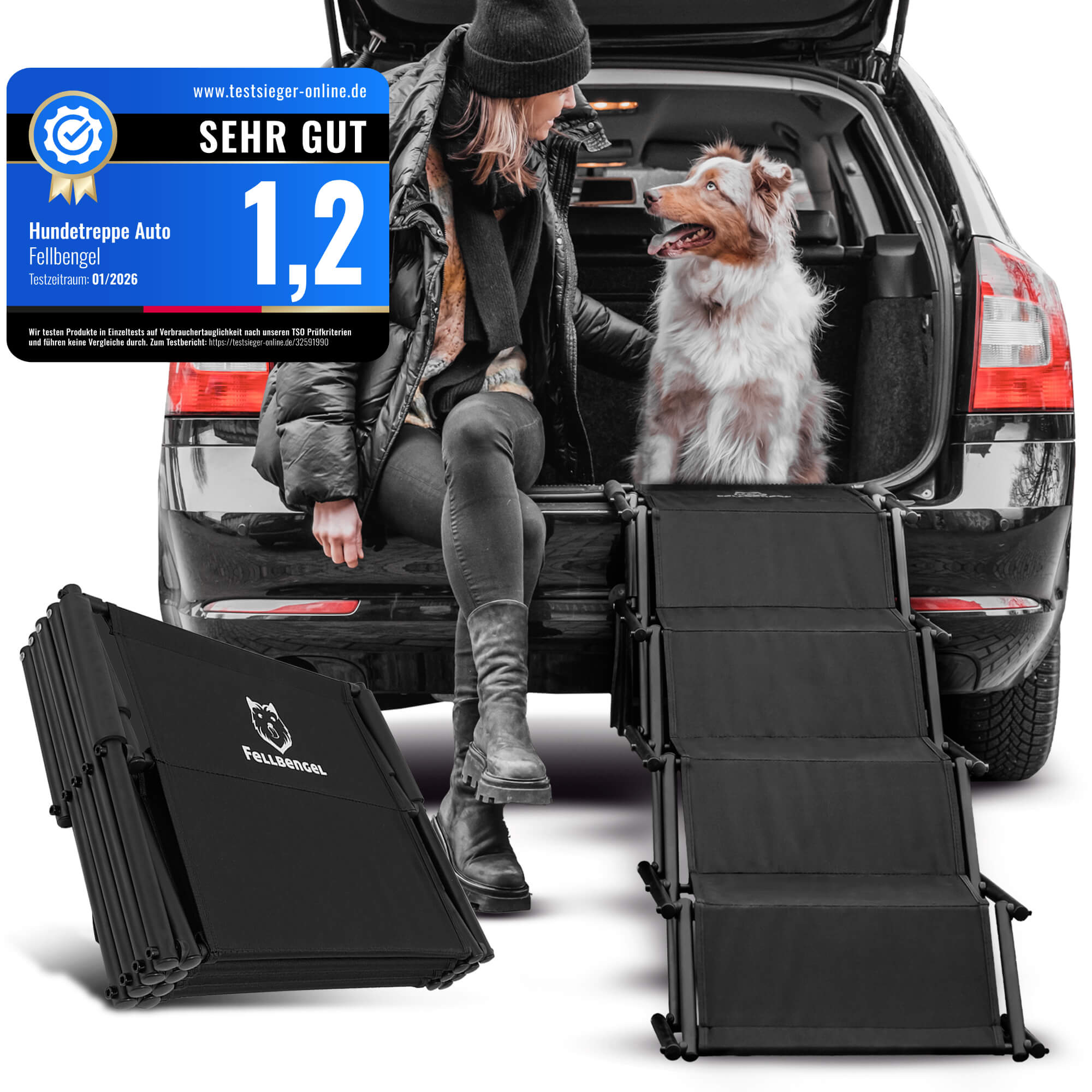 Fellbengel Hundetreppe Auto