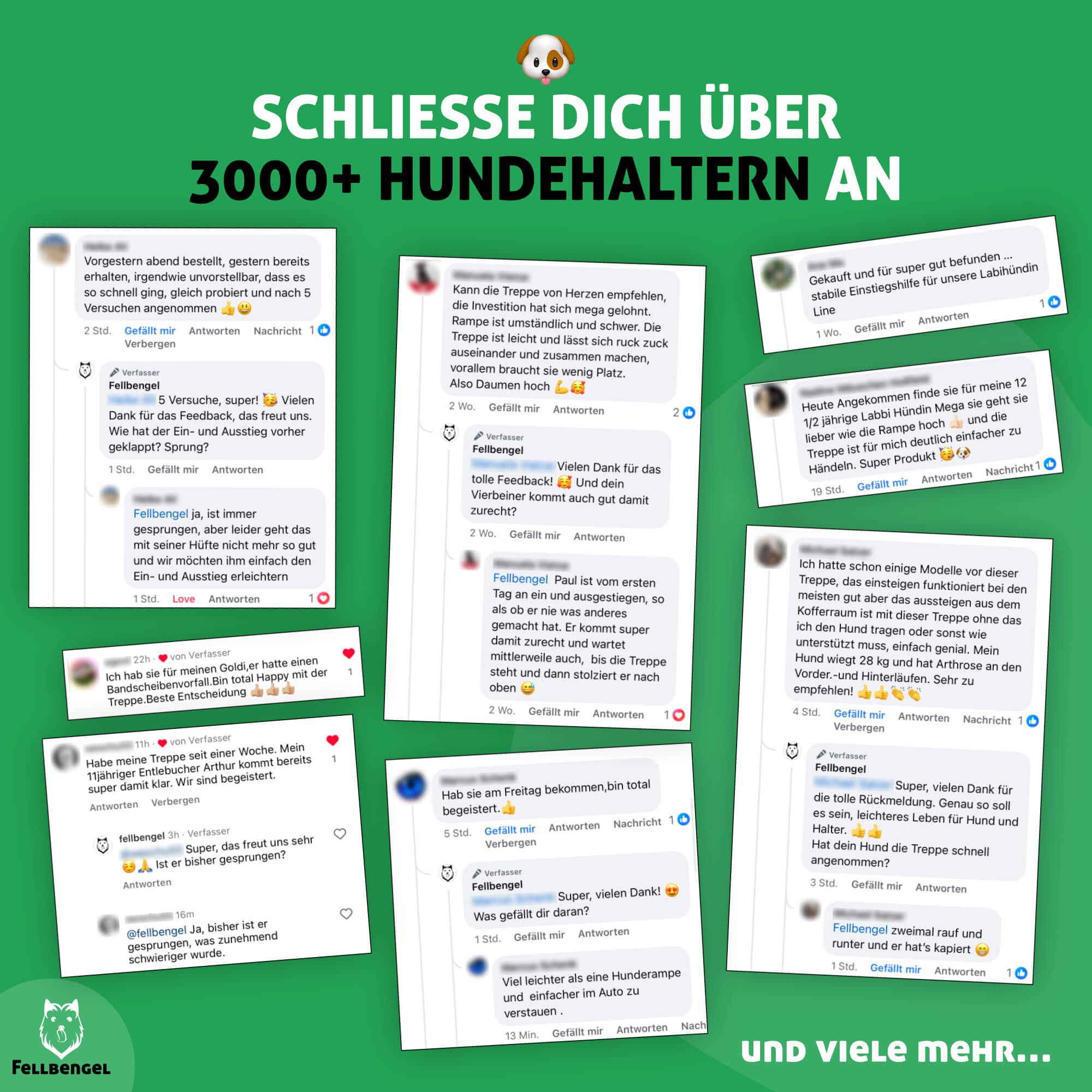 Fellbengel Hundetreppe Auto