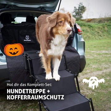Fellbengel Hundetreppe Kofferraumschutz Bundle