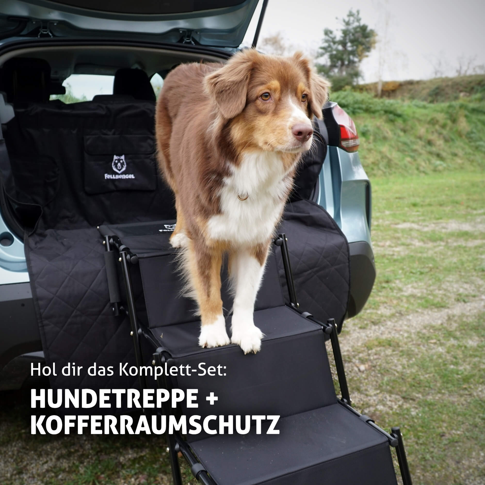 Fellbengel Hundetreppe Kofferraumschutz Bundle