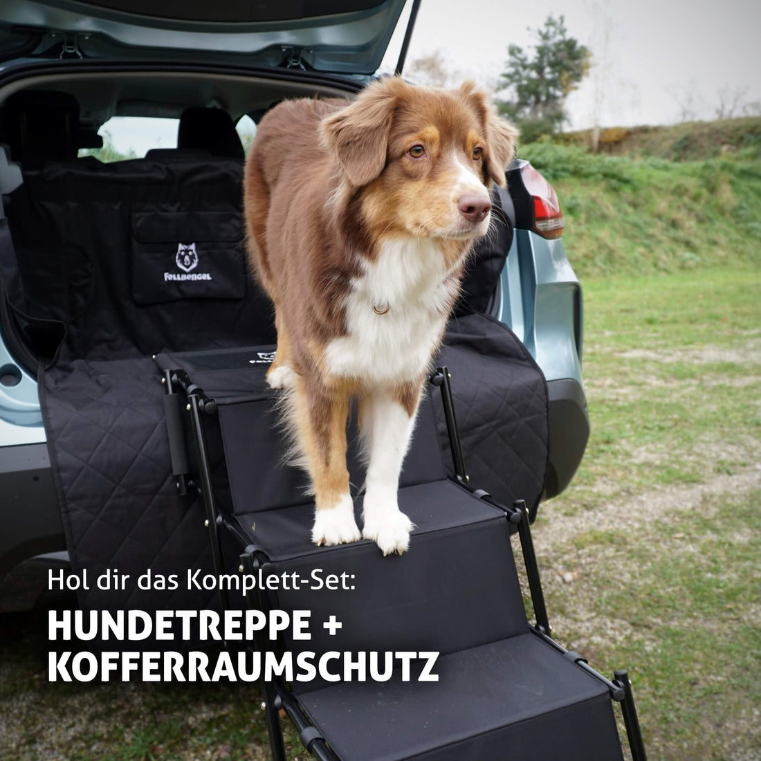 Fellbengel Hundetreppe Kofferraumschutz Bundle