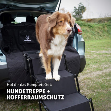 Fellbengel Hundetreppe Kofferraumschutz Bundle
