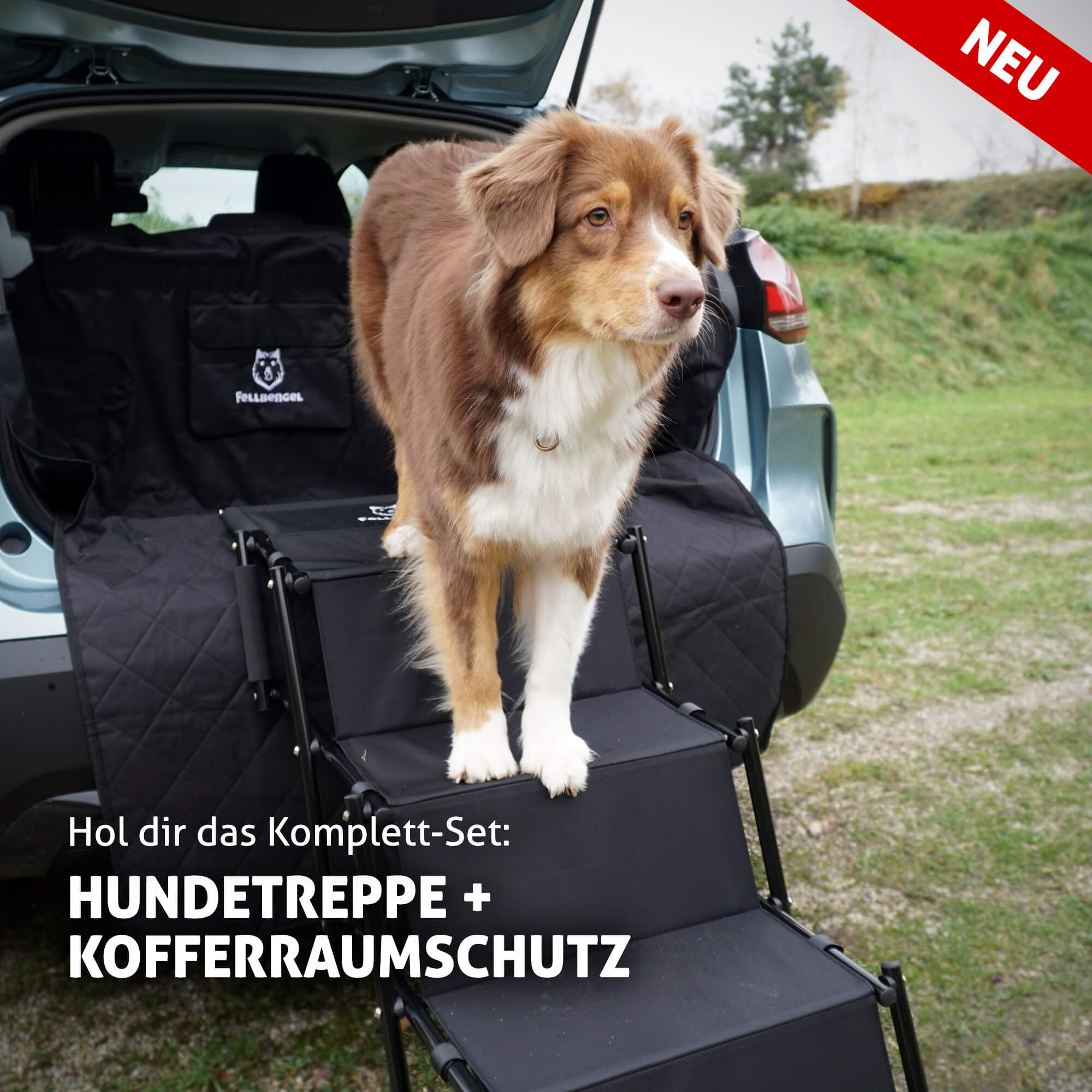 Fellbengel Hundetreppe Auto