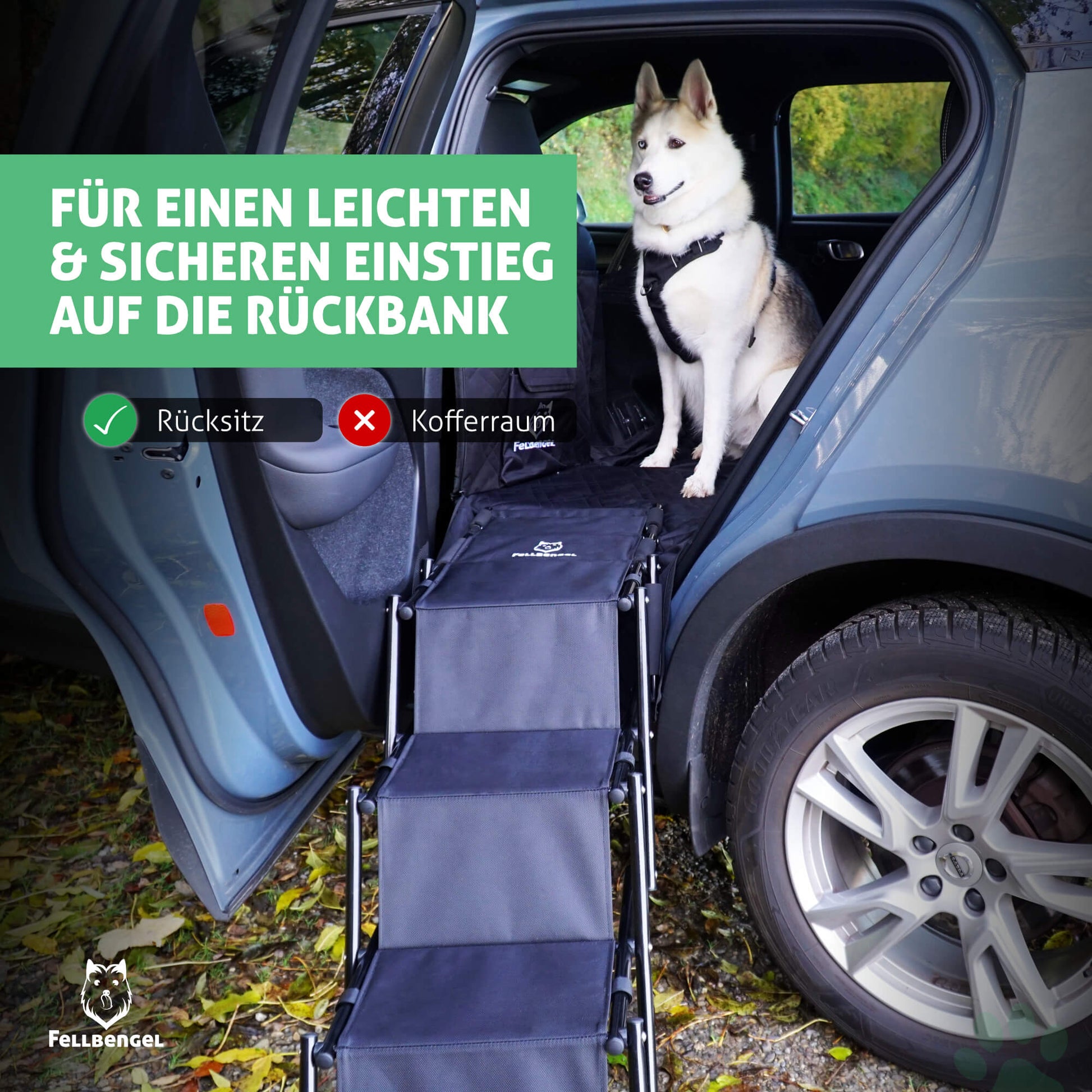 Fellbengel Hundetreppe Rückbank Einstiegshilfe