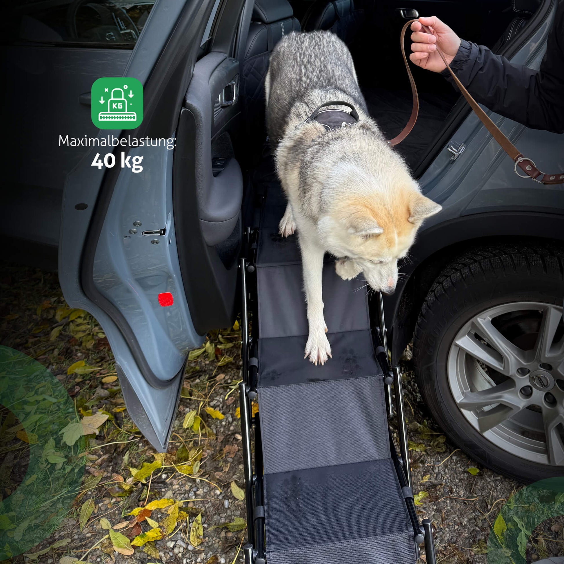 Fellbengel Hundetreppe Rückbank Einstiegshilfe