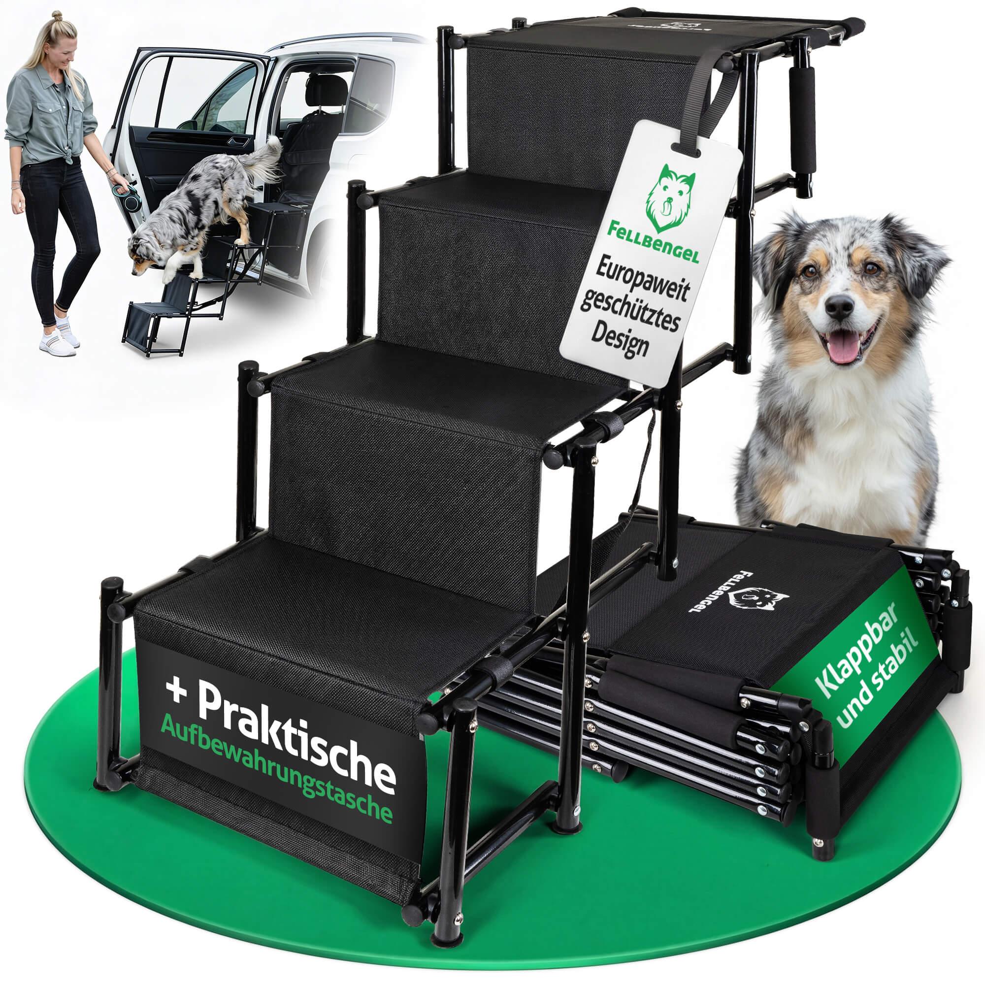 Einstiegshilfe Hund Auto Rückbank mit Australian Shepherd