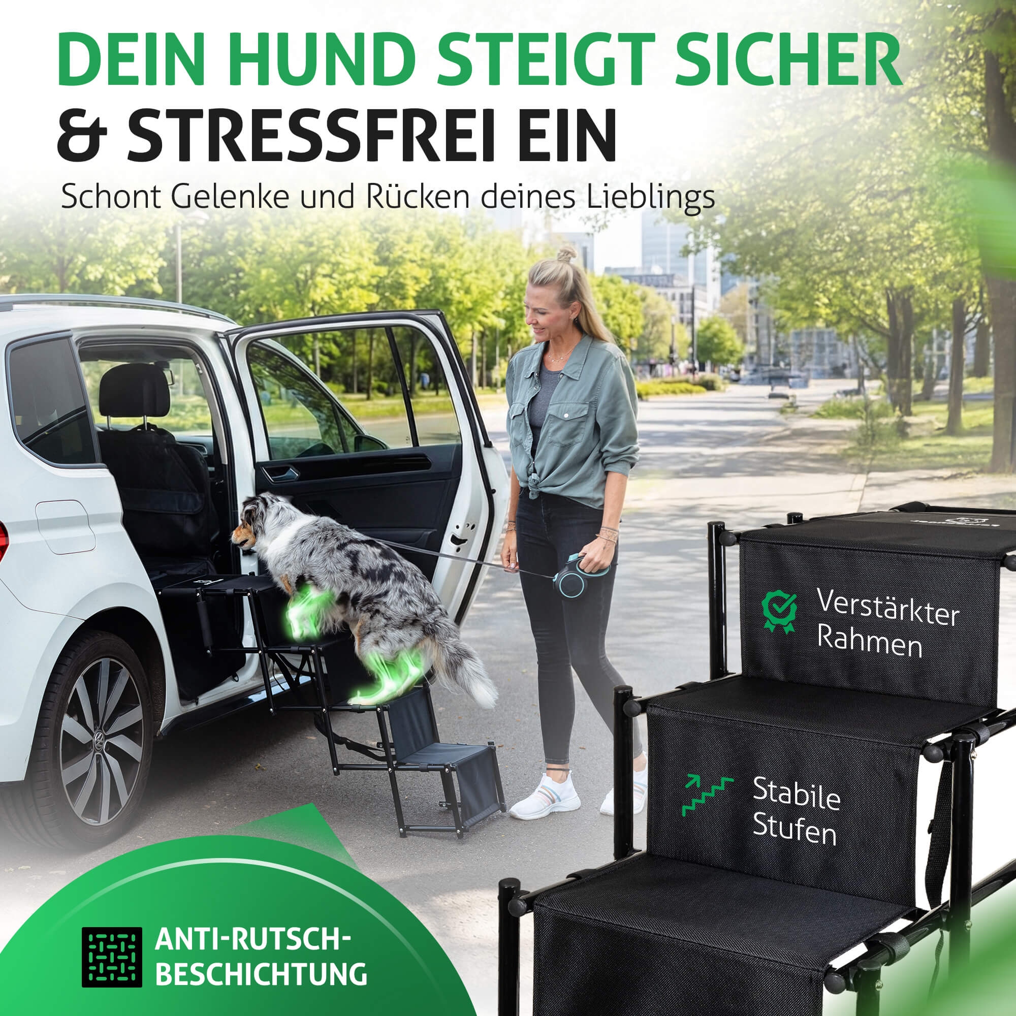 Hundetreppe Rückbank am Auto