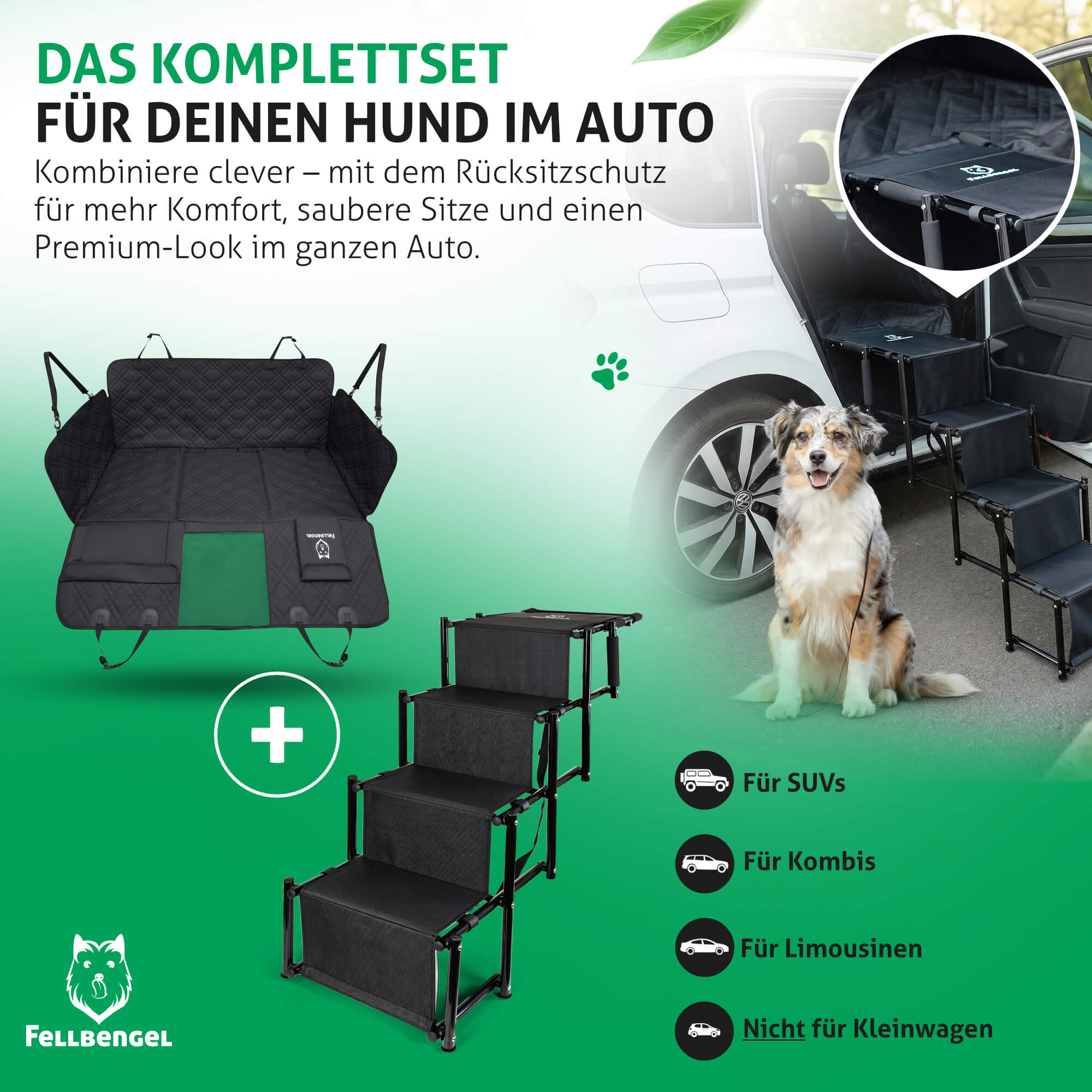 Hundetransport-Set mit Hundedecke und Hundetreppe
