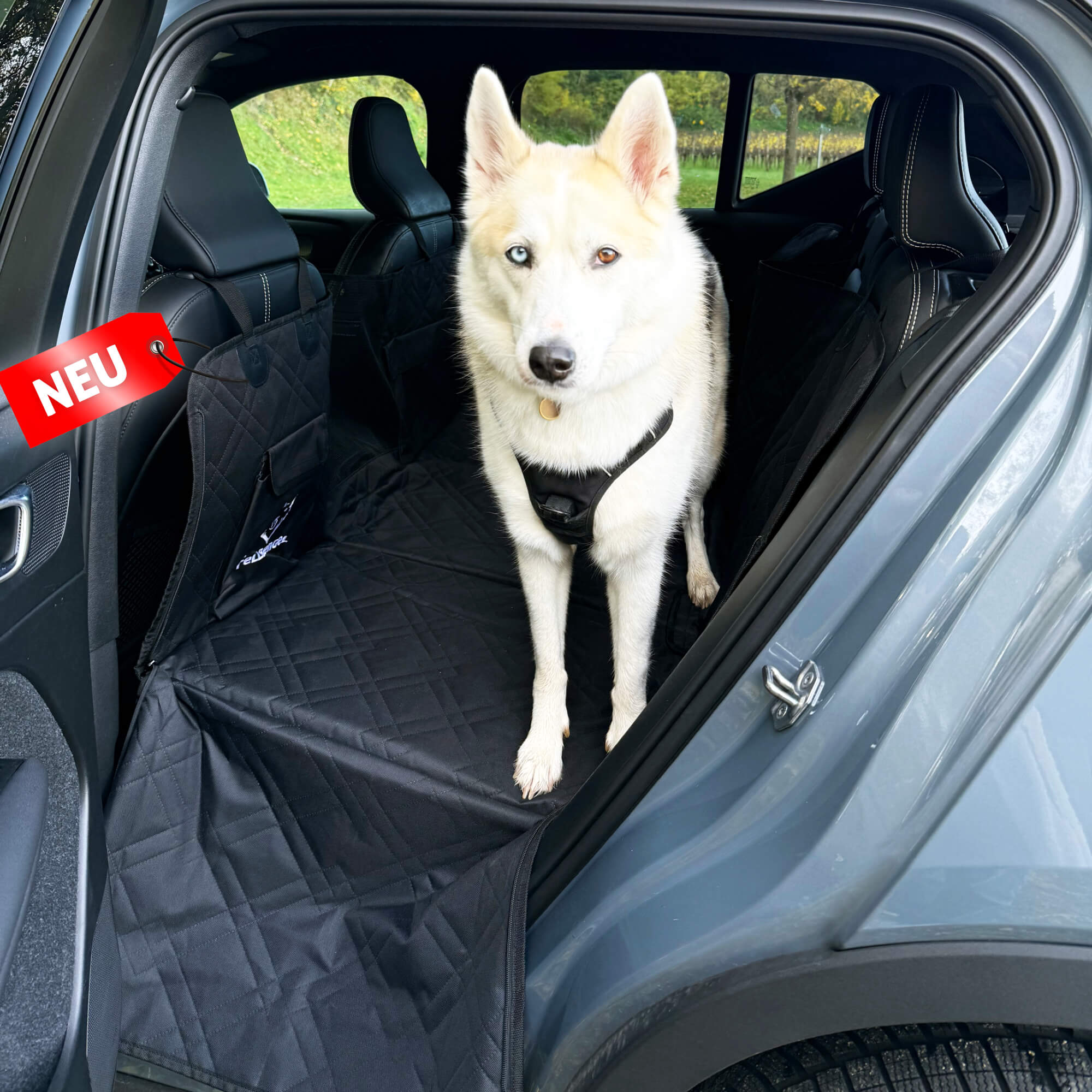 hundedecke auto rücksitz