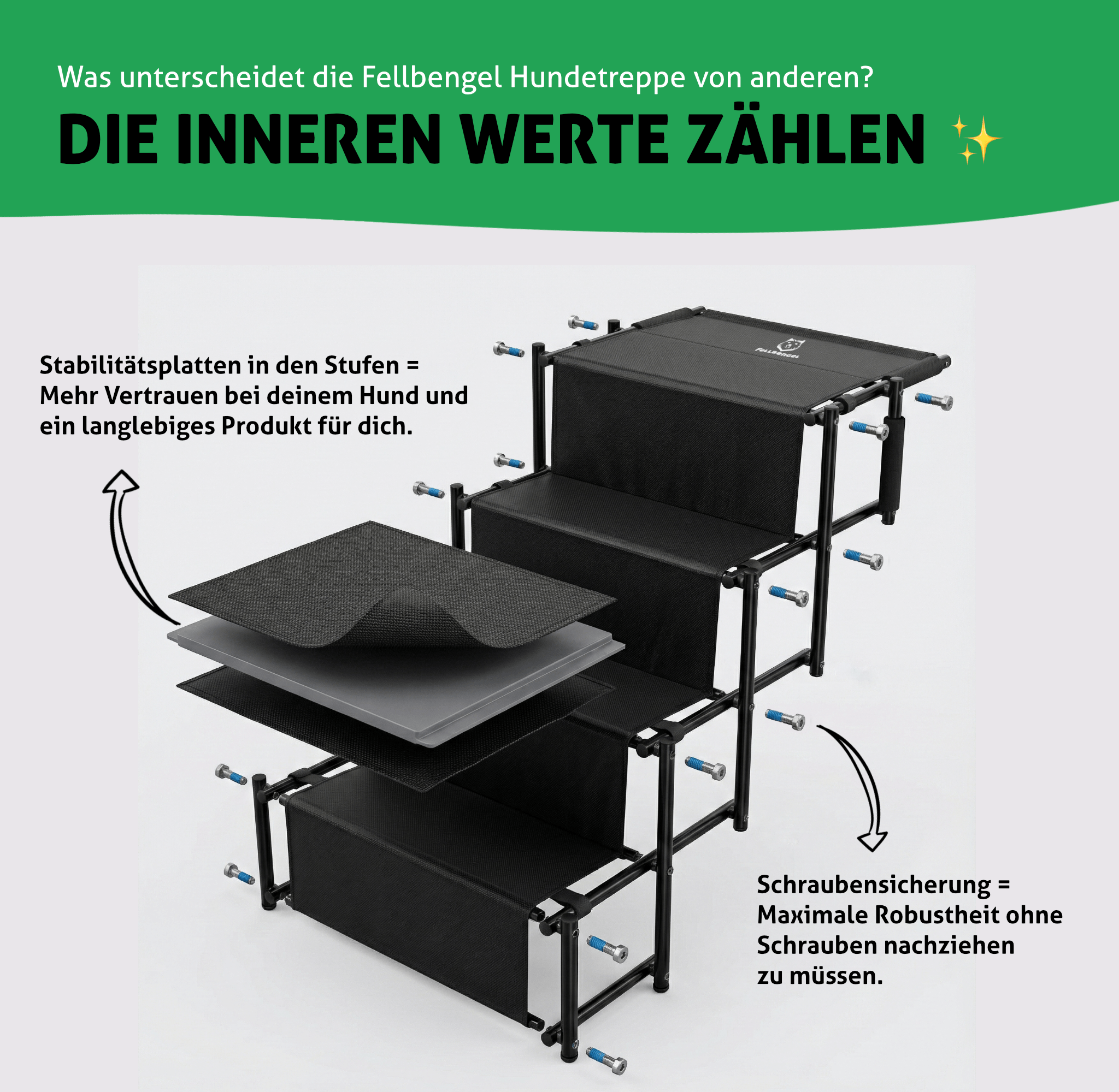 Hundetreppe Auto