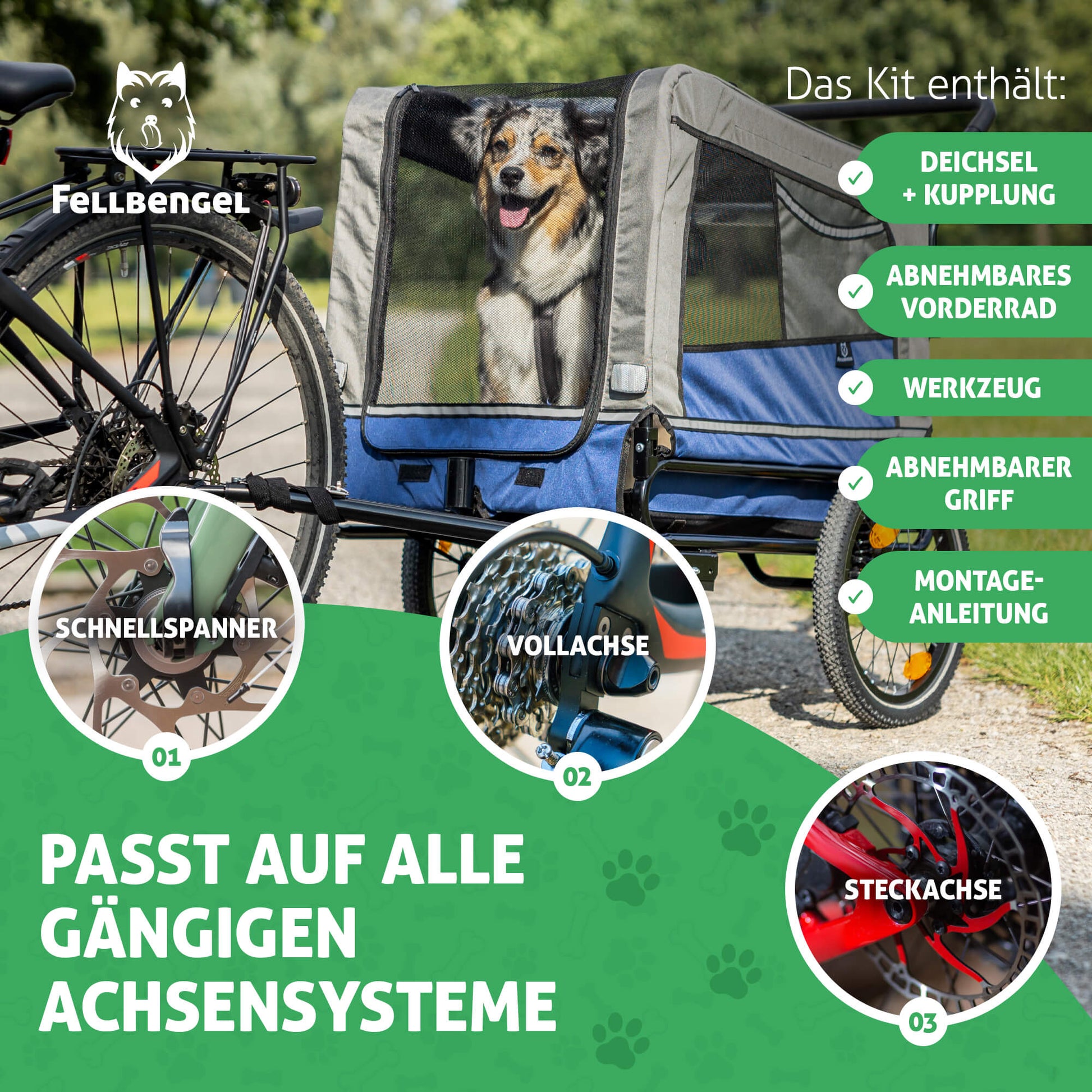 Fahrrad-Anhänger für Hunde Hundebuggy | Hundekrone