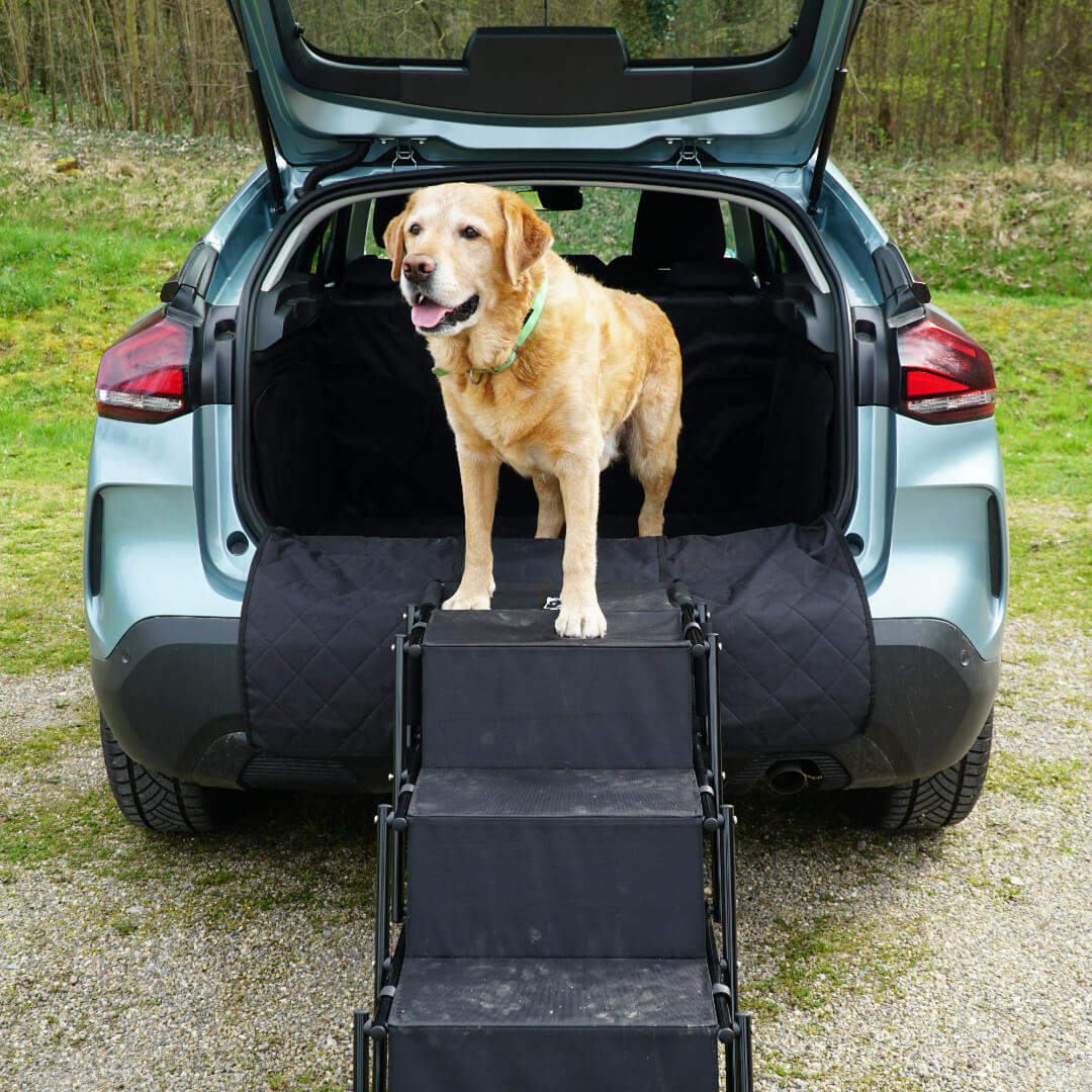 Eine Auto Hundetreppe steht an einem Citroen C4 SUV