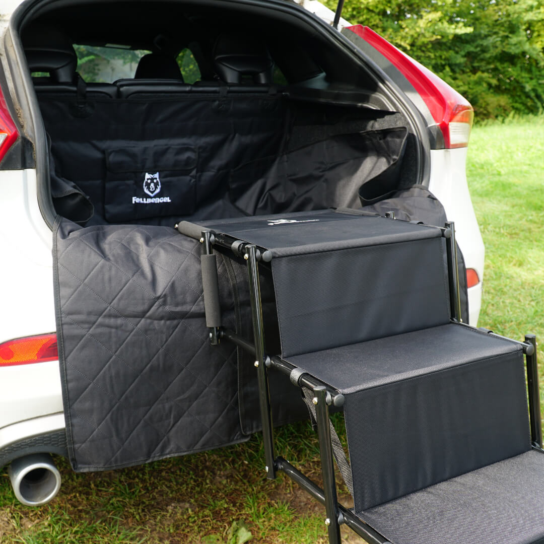 Eine Auto Hundetreppe steht an einem Volvo V40