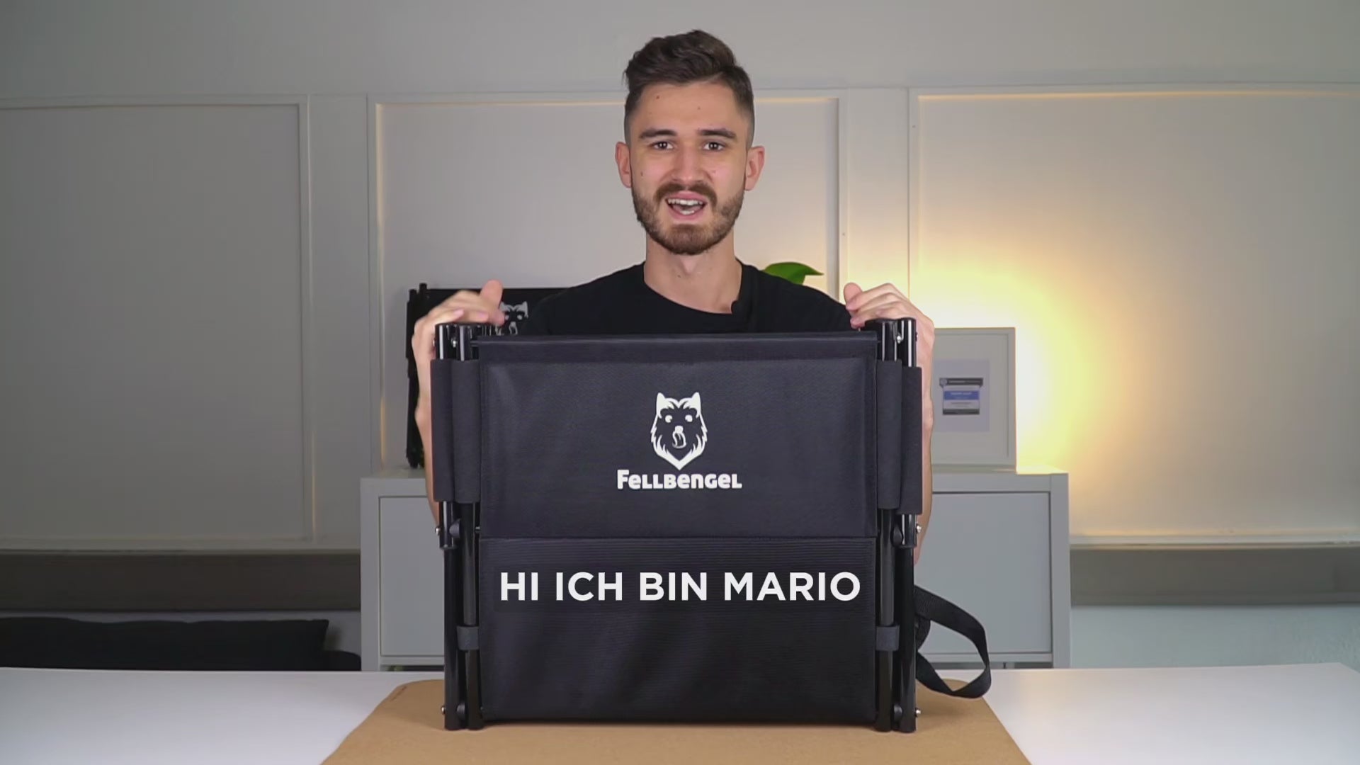 Fellbengel Hundetreppe Auto Produktvorstellung